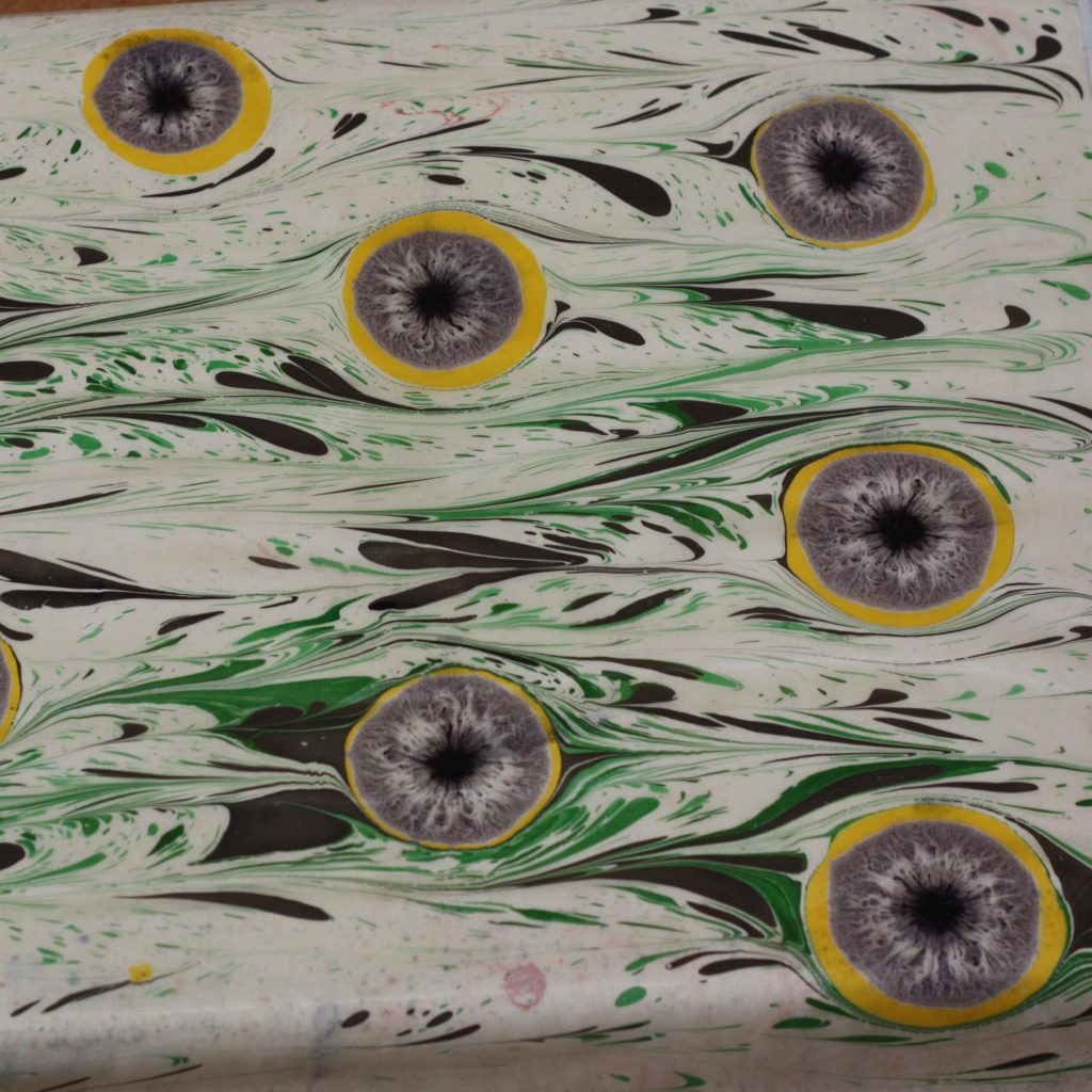 Oeil de Chat ou Oeil de Tigre marbé Vert Jaune