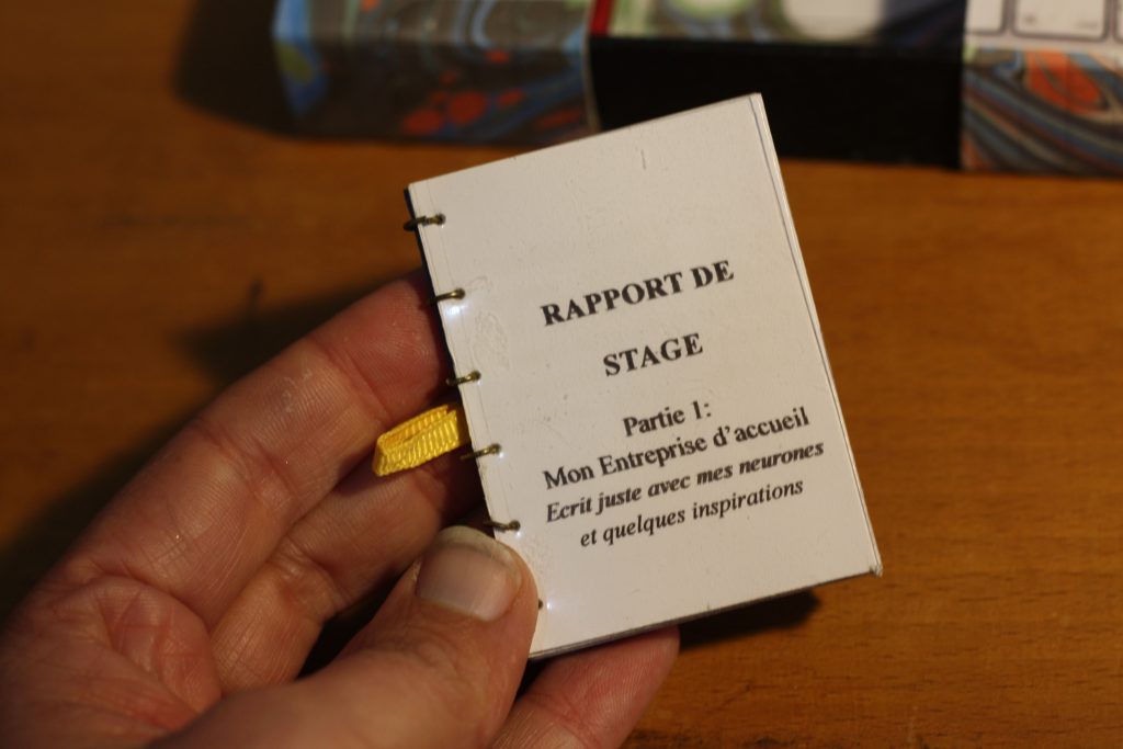 Rapport de stage miniature