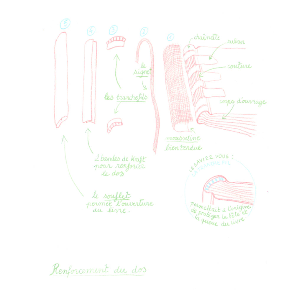 Reliure Bradel : Renforcement du dos - Pose des mousselines, krats, soufflet et tranchefils - Illustration Emma Morison